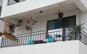 Sea Life Studio